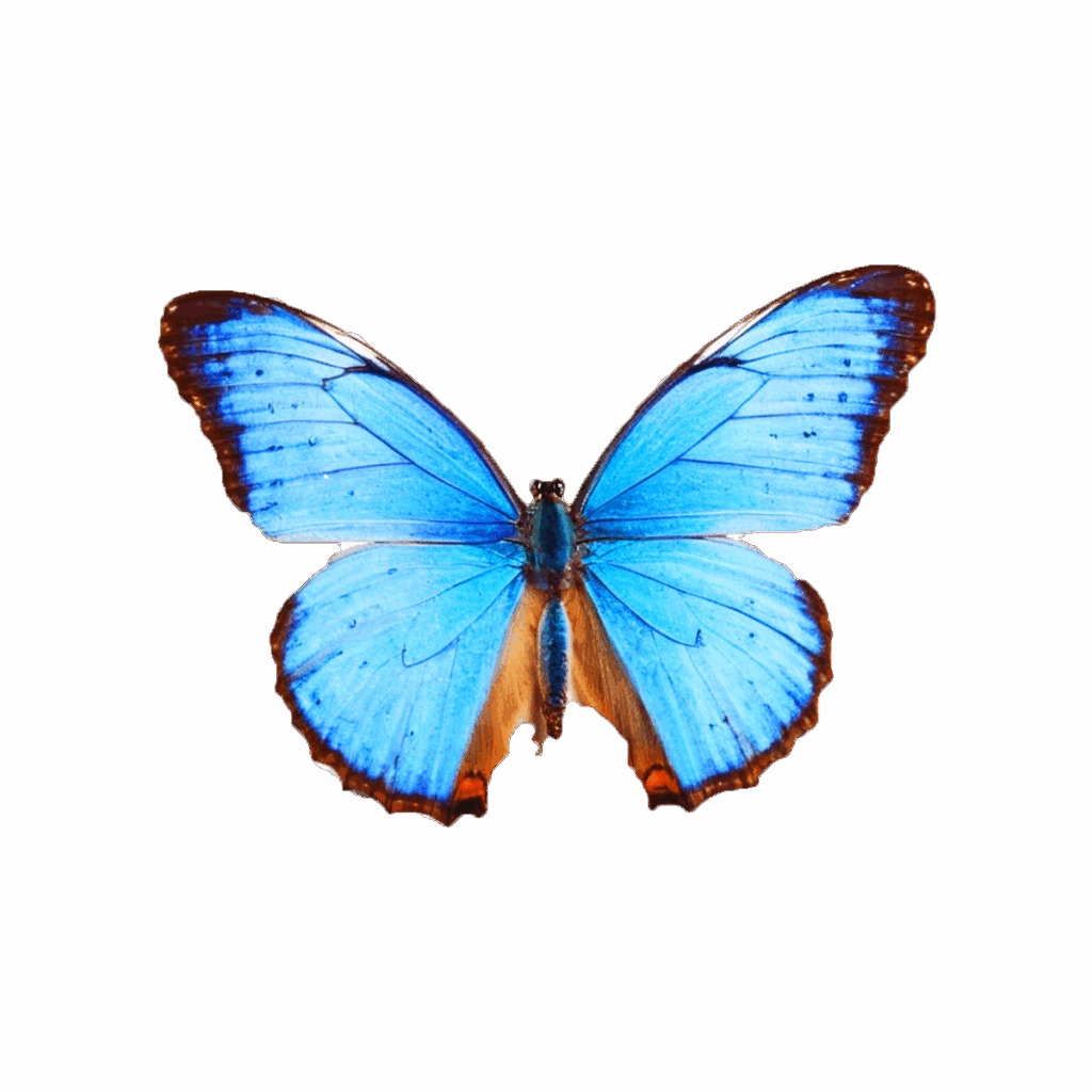 Moda calça Jeans logo